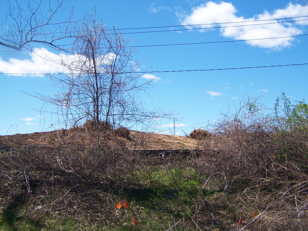 Photo: Remains Of Sand Dune Photo: Remains Of Sand Dune