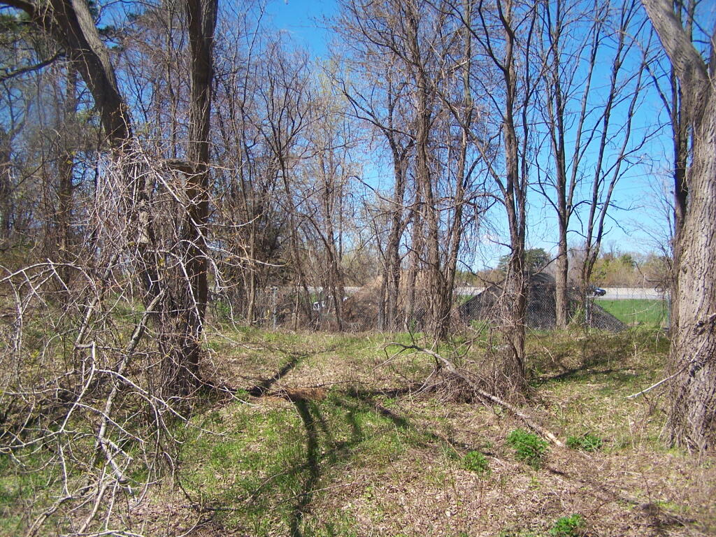 Photo: Between I-90 and Washington Ave Extension