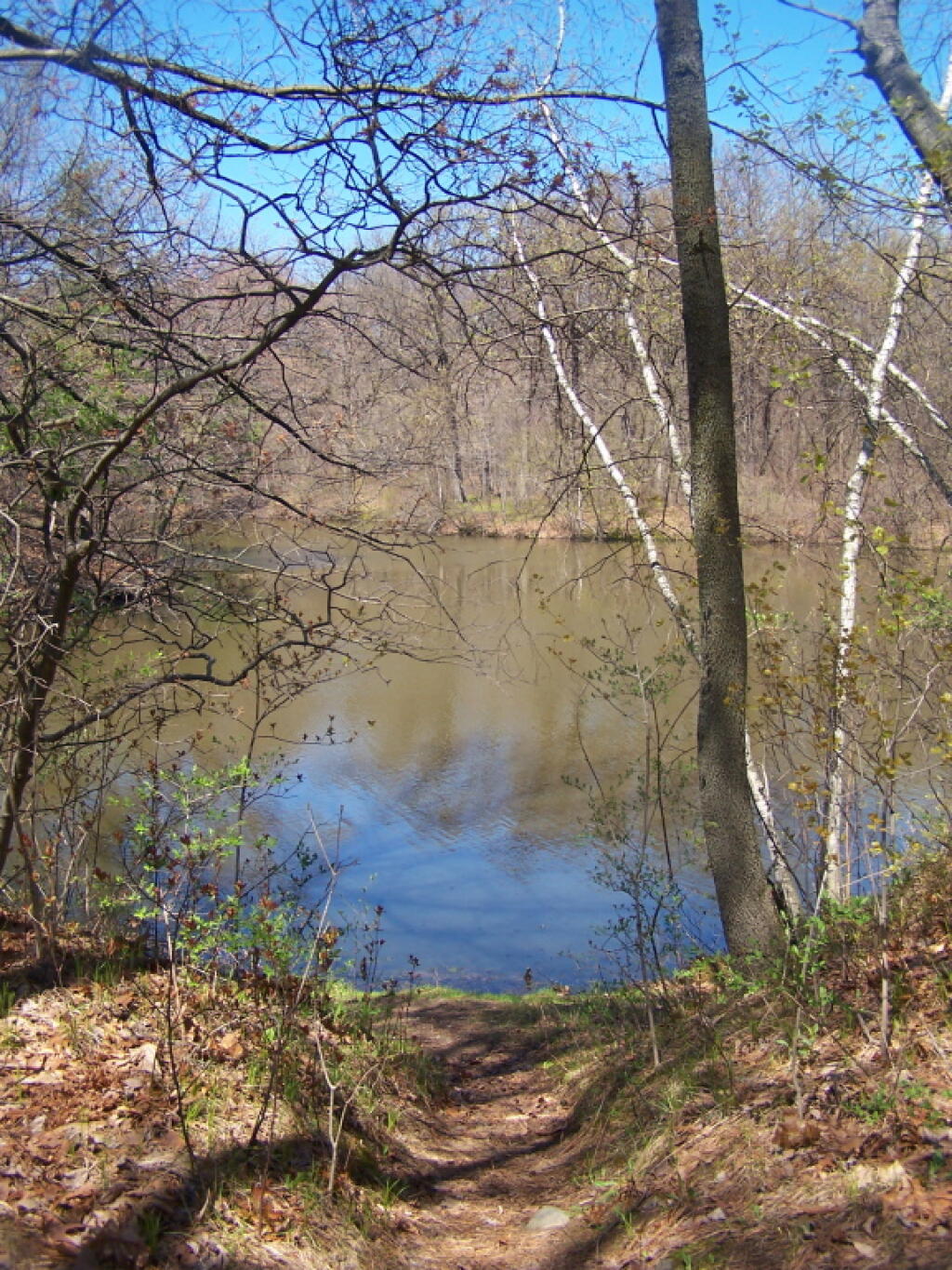 Photo: Path Down to Rensselaer Lake