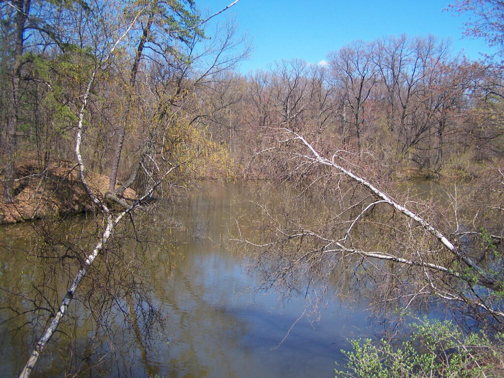 Photo: One of Marshy Bays