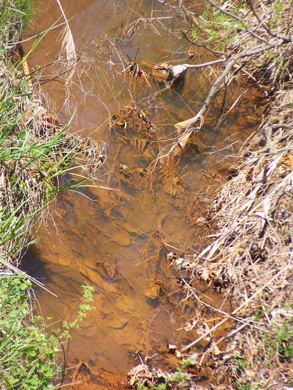 Photo: Iron Deposits in Rensselaer Lake