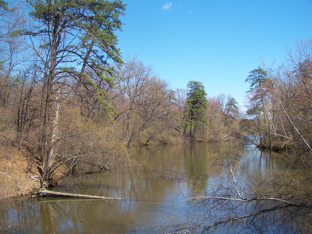Photo: Finger of Rensselaer Lake