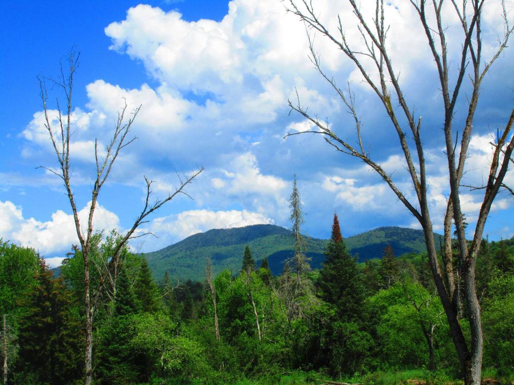 Photo: Cross Mountain and the Big Range