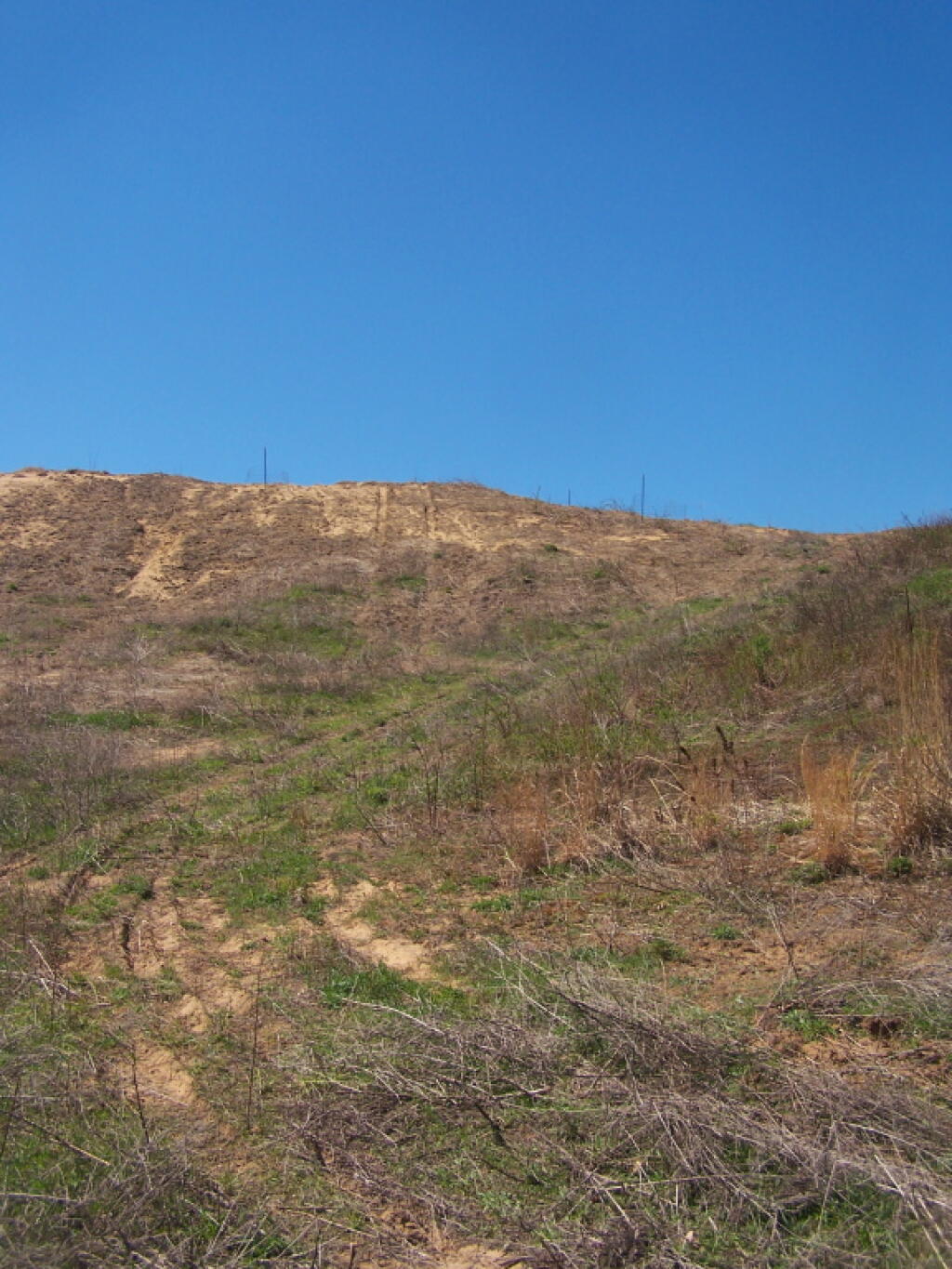 Photo: Cleared Sand Dune