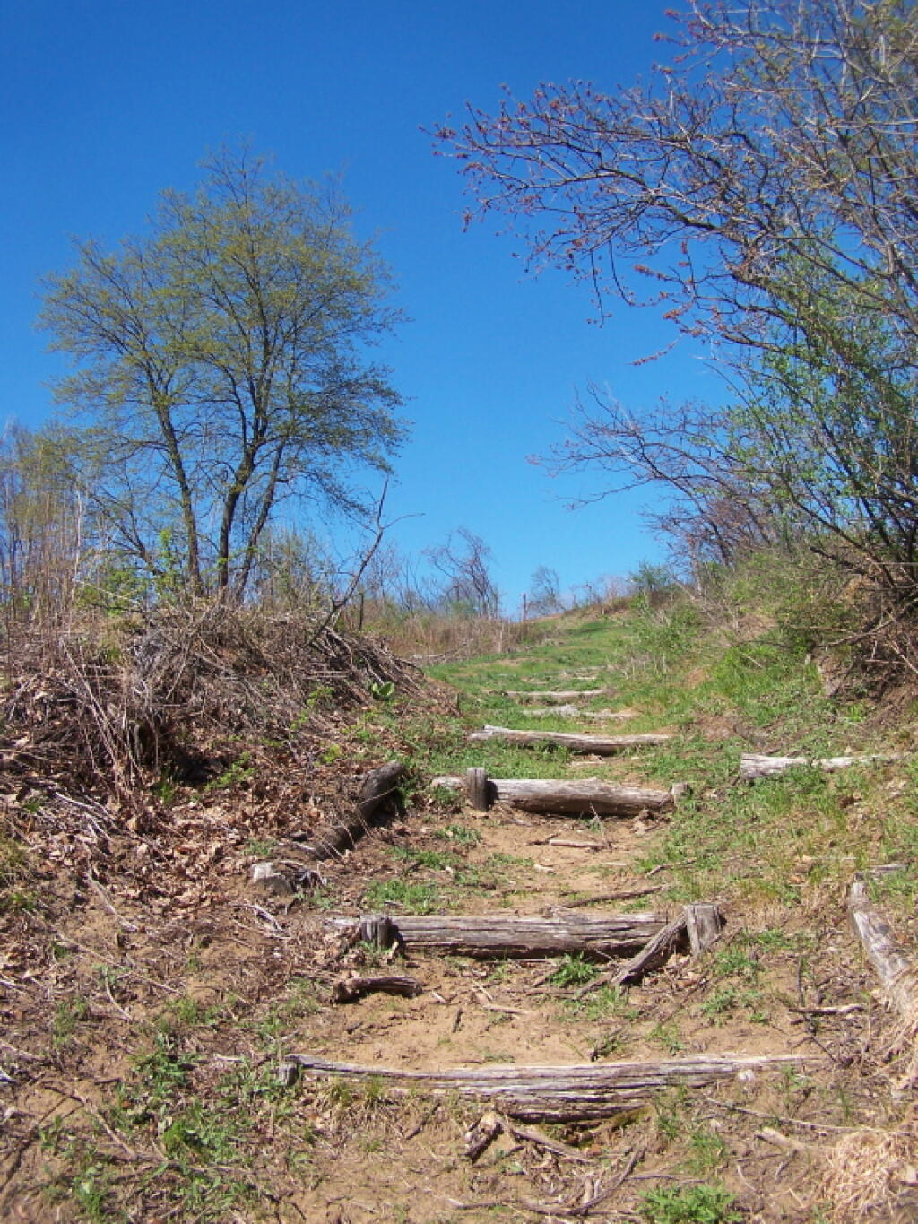 Photo: Stairs Going Up Blueberry Hill Photo: Stairs Going Up Blueberry Hill