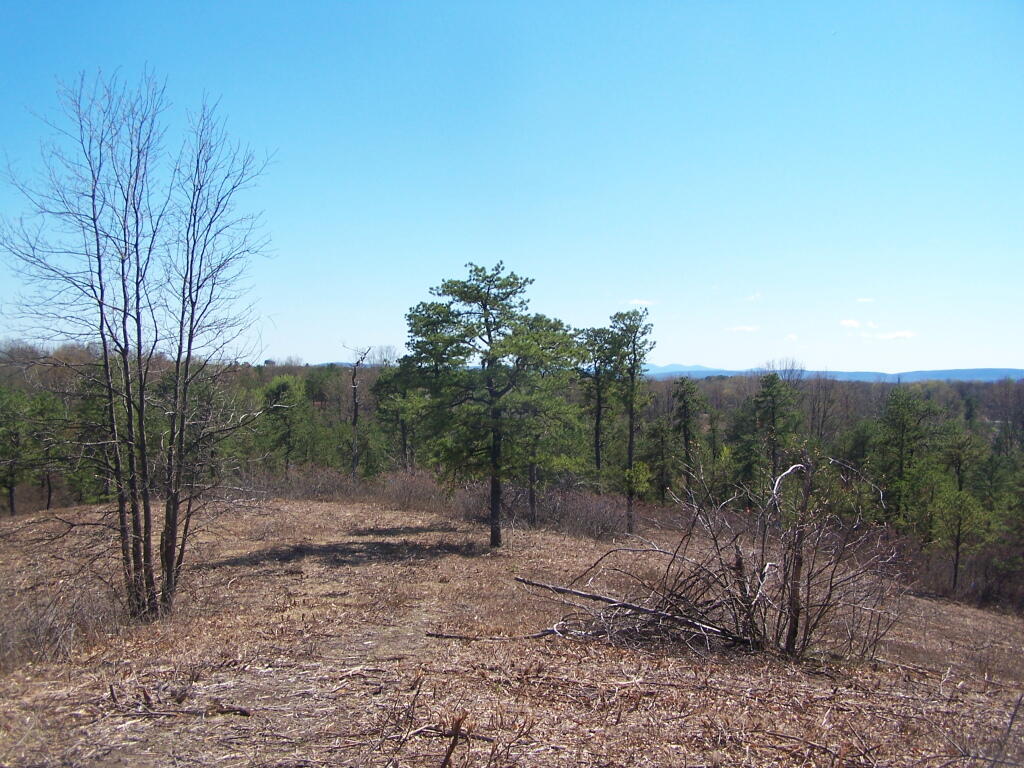 Photo: South-East from Overlook Dune Photo: South-East from Overlook Dune