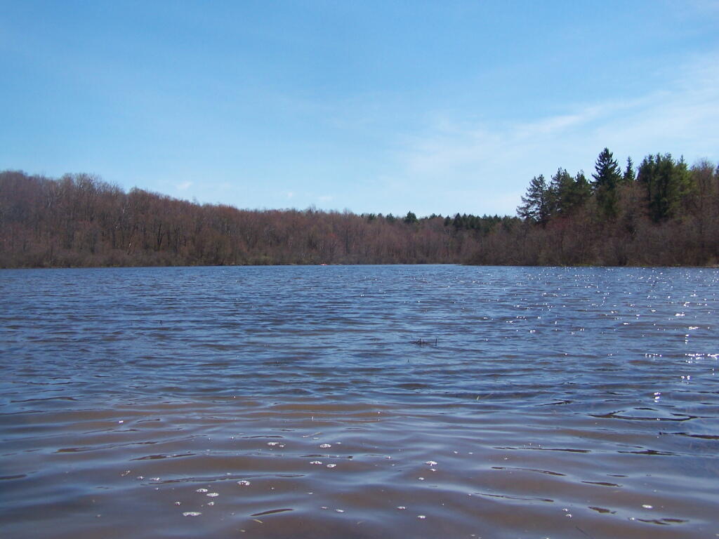 Photo: Looking Across Tubbs Pond