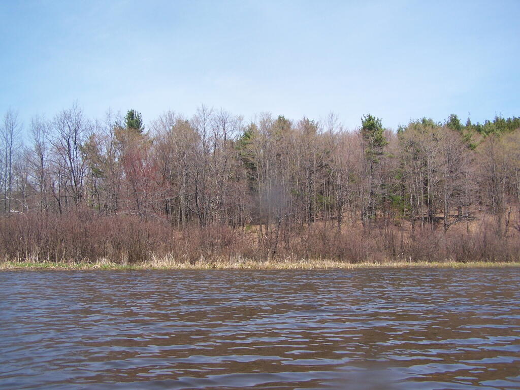 Photo: North East Portion of Lake Photo: North East Portion of Lake