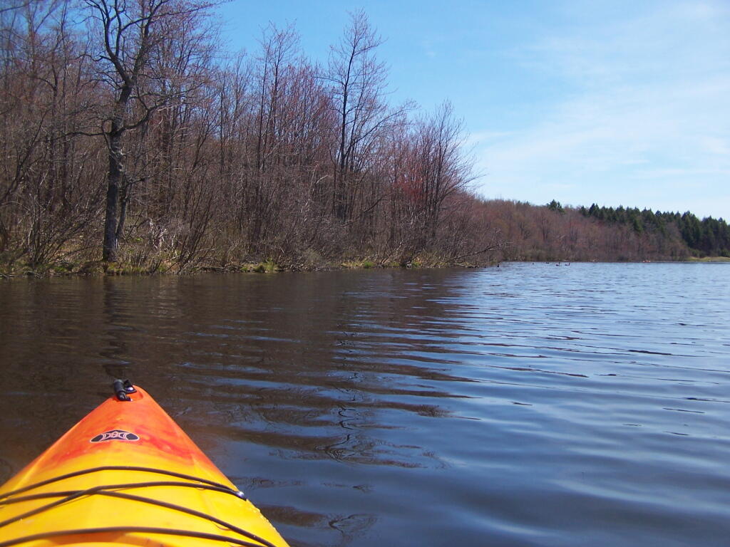 Photo: Edge of Lake Photo: Edge of Lake