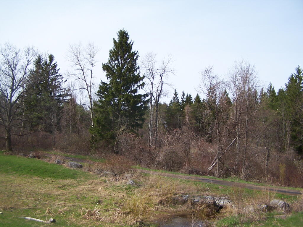Photo: Beaver Road