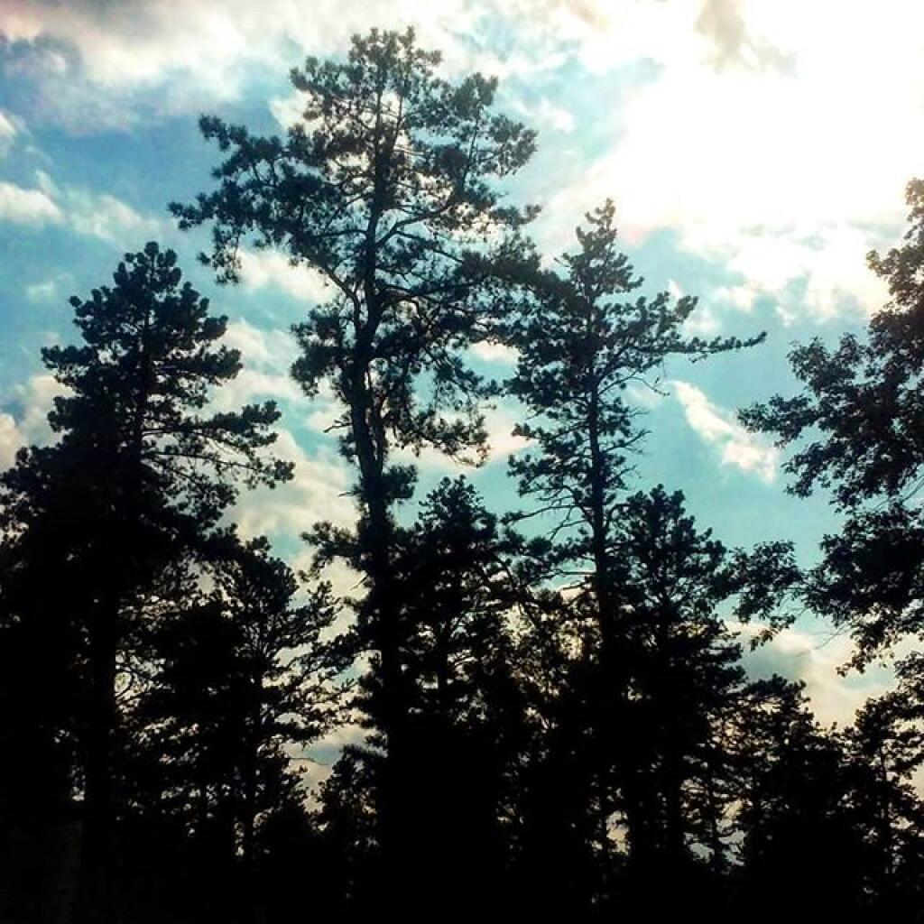Photo: Afternoon