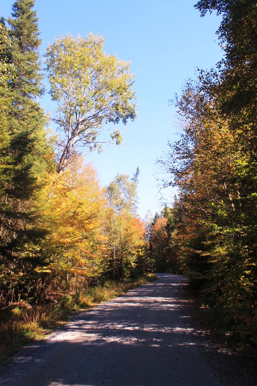 Photo: Cedar River-Limekiln Lake Road Photo: Cedar River-Limekiln Lake Road