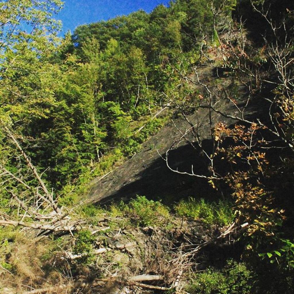 Photo: This landslide rerouted the Whetstone Creek through the Gorge last summer