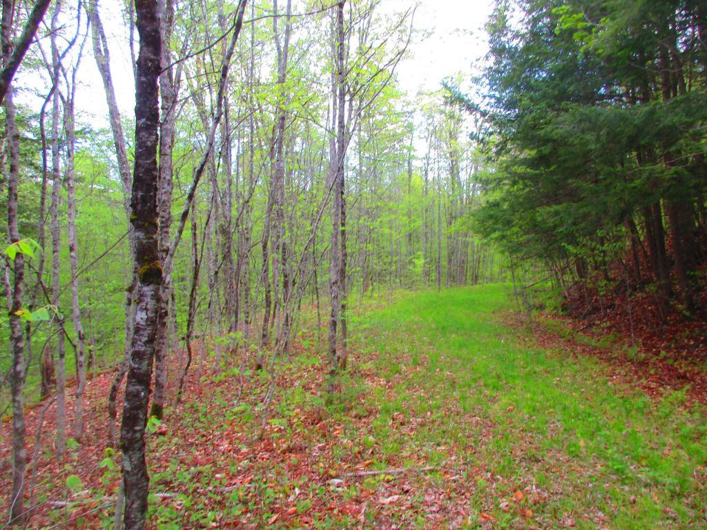 Photo: Hiking Old Route 8A