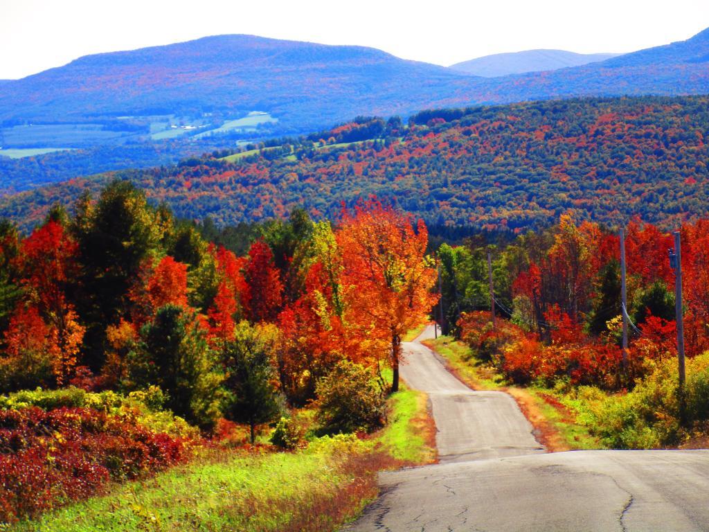 Photo: Cheese Hill Road Photo: Cheese Hill Road