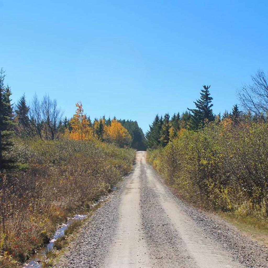 Photo: Dolly Sods Road