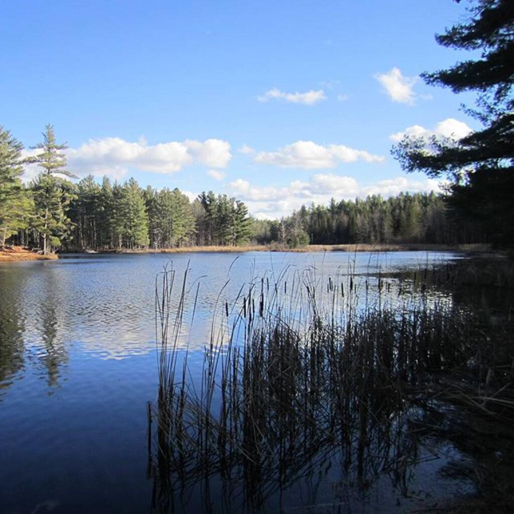 Photo: Redwater Pond