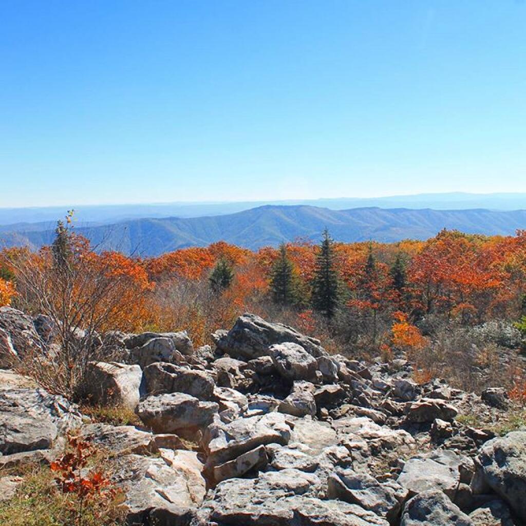 Photo: View from Overlook
