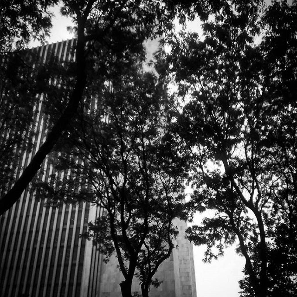 Photo: Tailfin