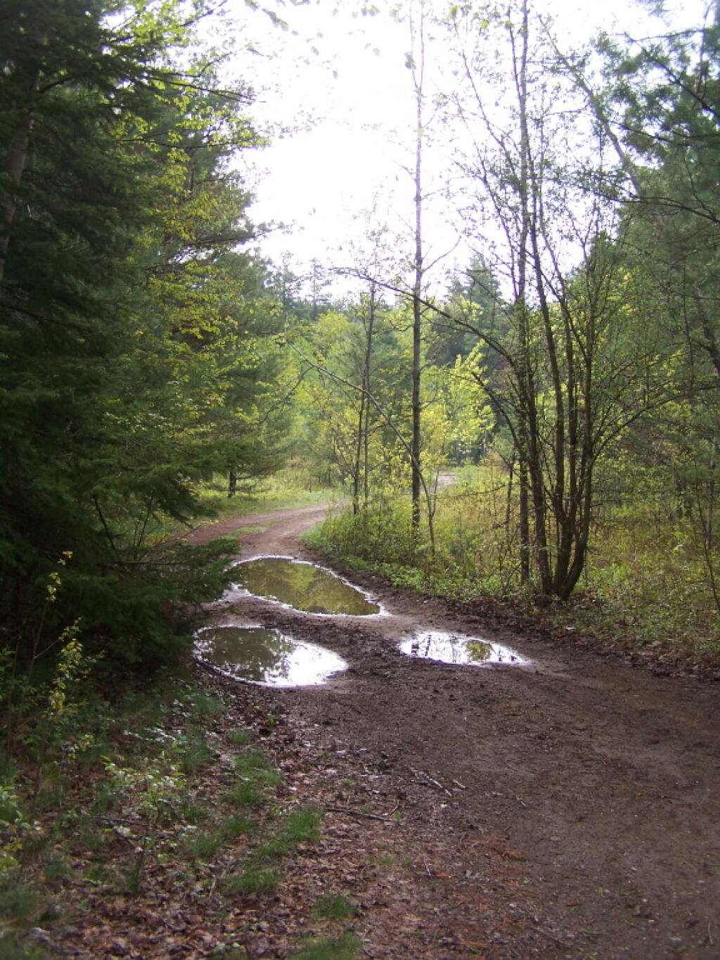 Photo: Looking Back Out Towards NY 8 Photo: Looking Back Out Towards NY 8