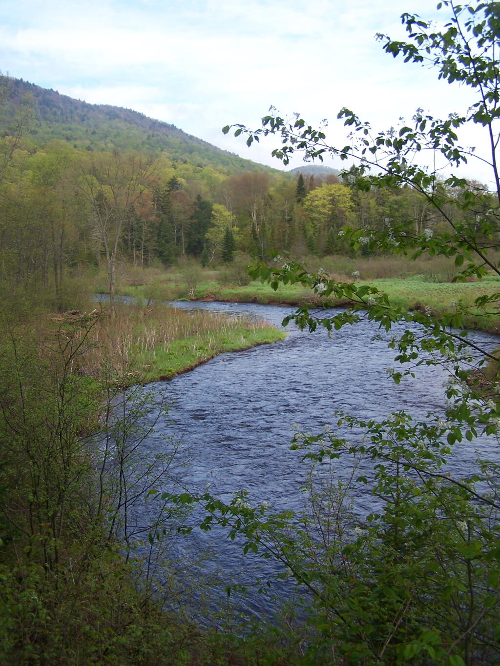 Photo: Down Towards the Green East Branch of Sacanadaga River