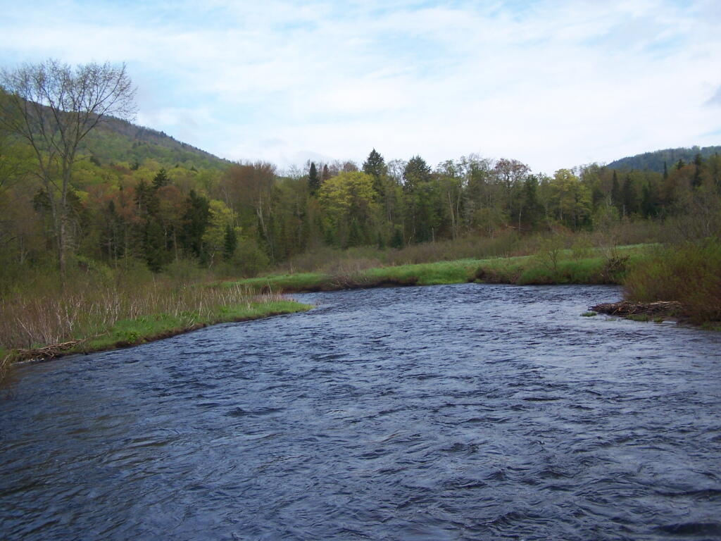 Photo: River Valley Photo: River Valley