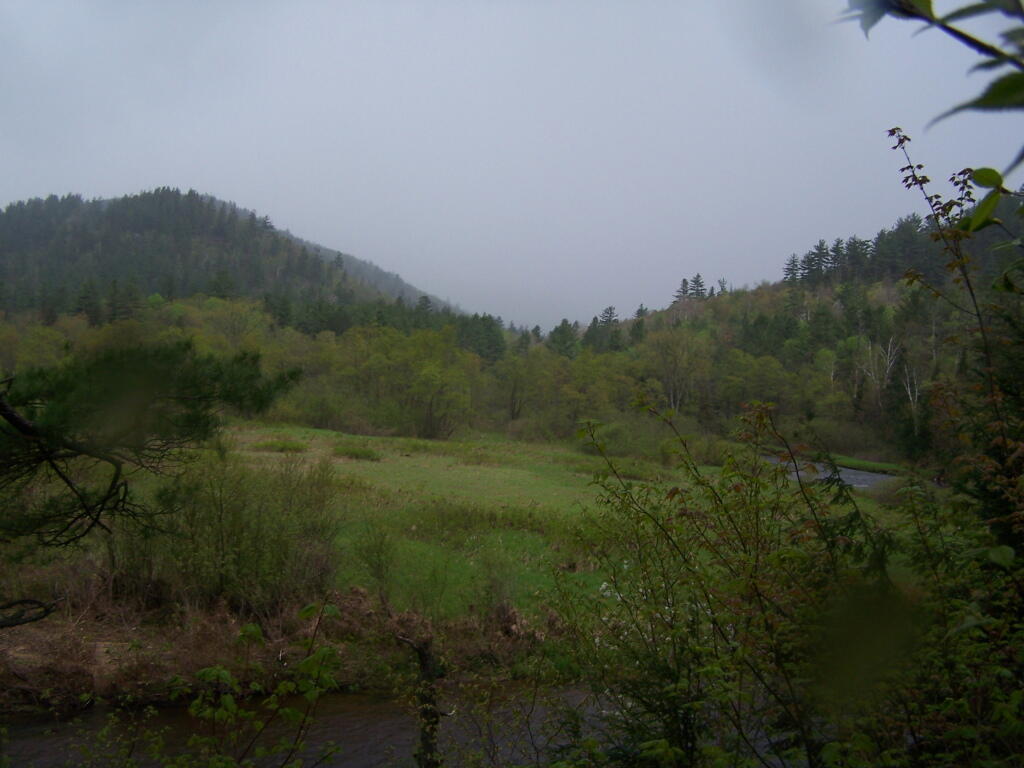 Photo: It's Raining