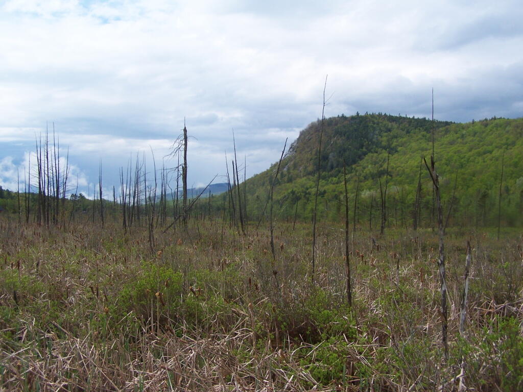 Photo: Moxham Valley
