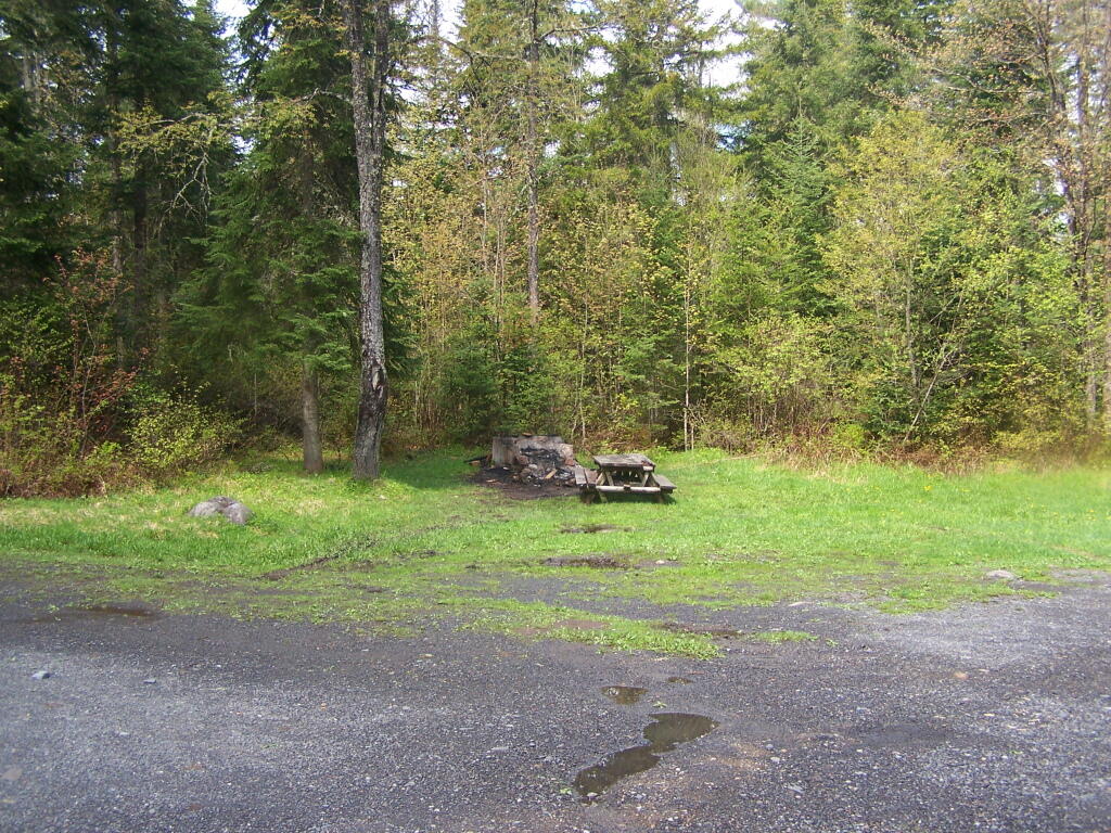 Photo: Run Down Campsite Along Boreas River and NY 28