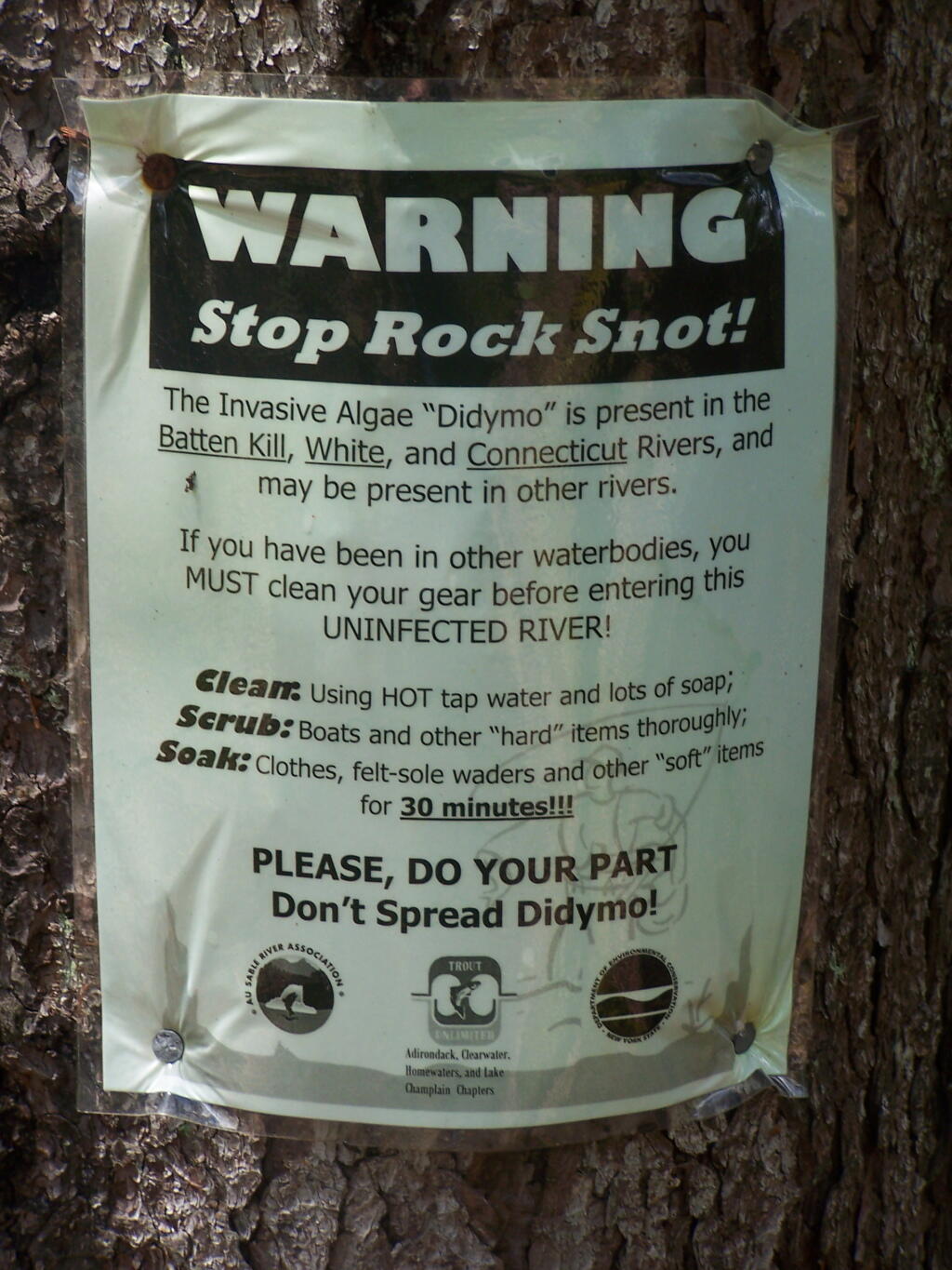 Photo: Warning Rock Snot!