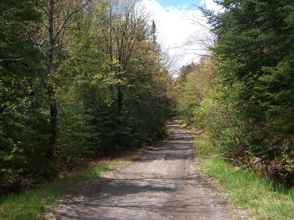 Photo: Moose Pond Way