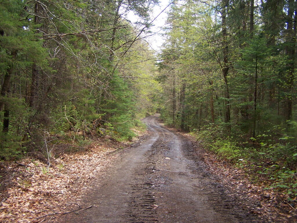 Photo: Less Muddy Section of Moose Club Way