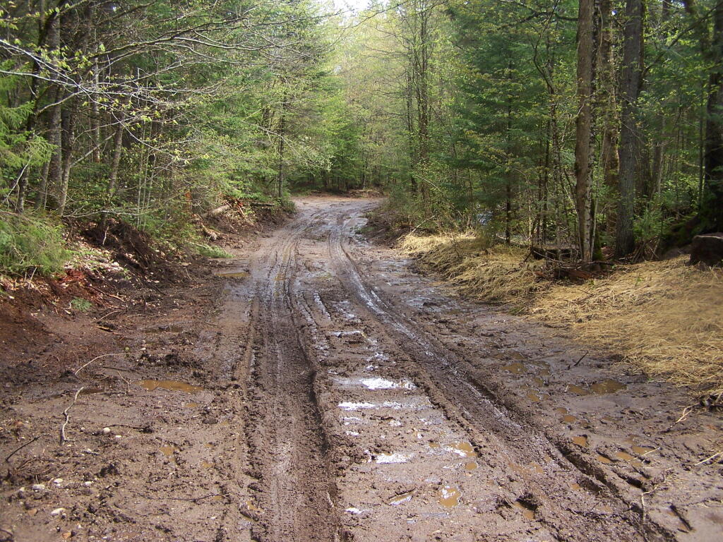 Photo: Muddier Section