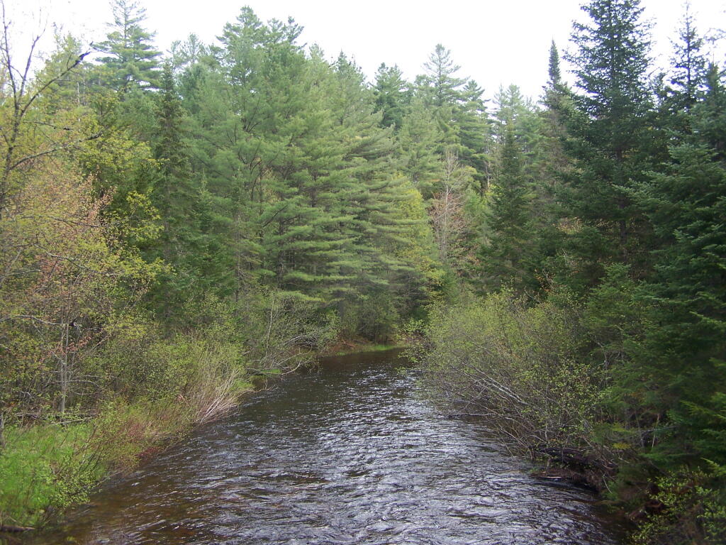 Photo: Vanderwhacker Brook