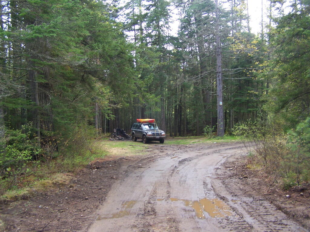 Photo: Nice Campsite Along Vanderwhacker Brook