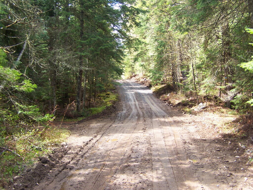 Photo: Another Muddy Section of Moose Club Way