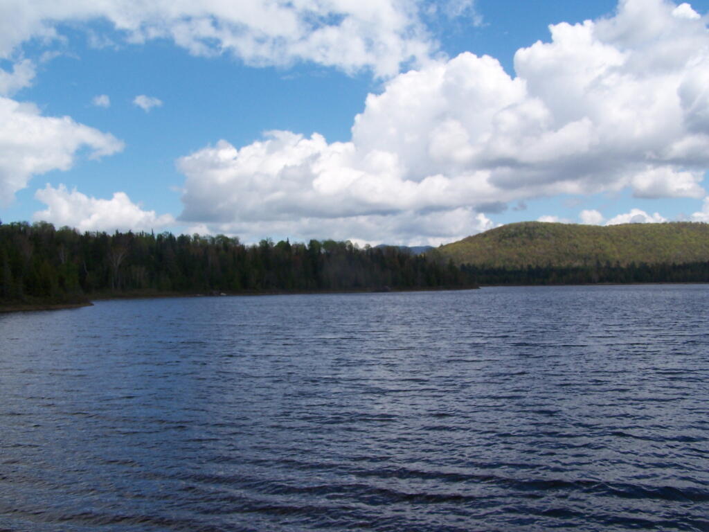 Photo: Cheney Pond