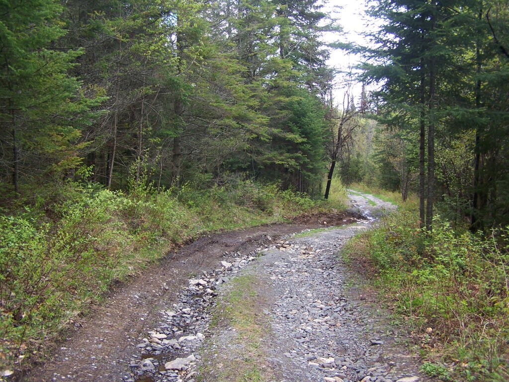 Photo: Washed Out Section of Cheney Pond Road