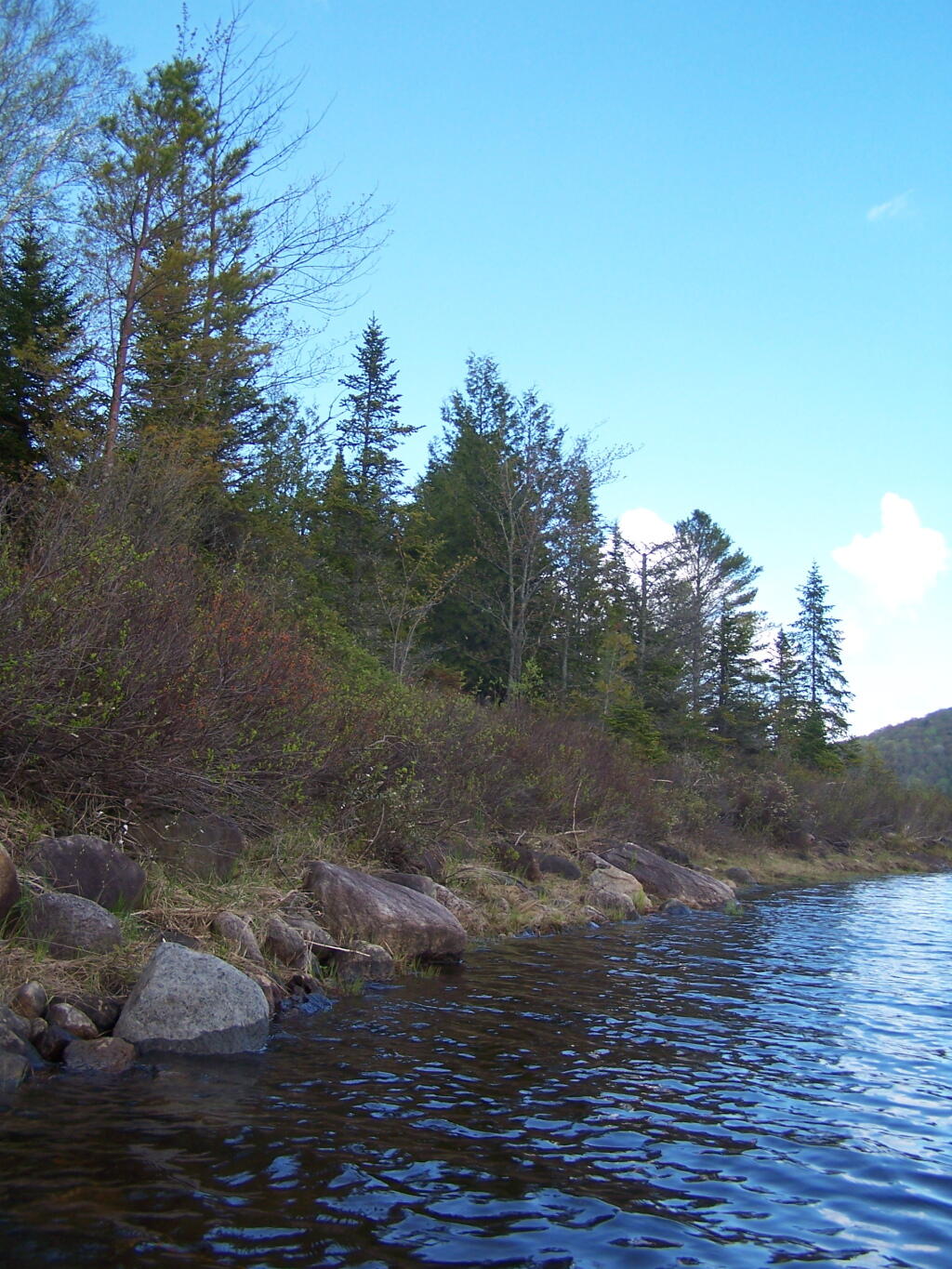 Photo: Along Edge of Cheney Pond