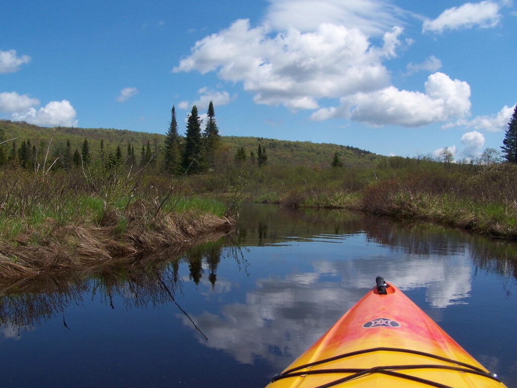 Photo: Cheney Pond Outlet