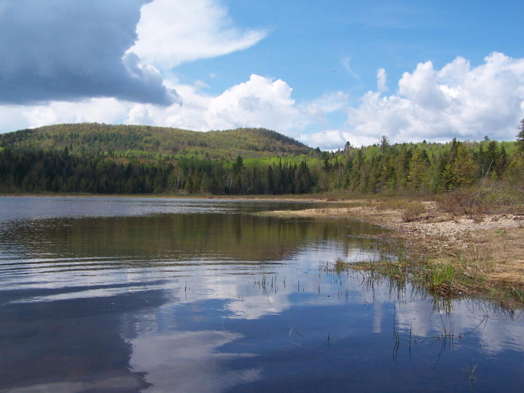 Photo: Sandy Bank of Cheney Pond