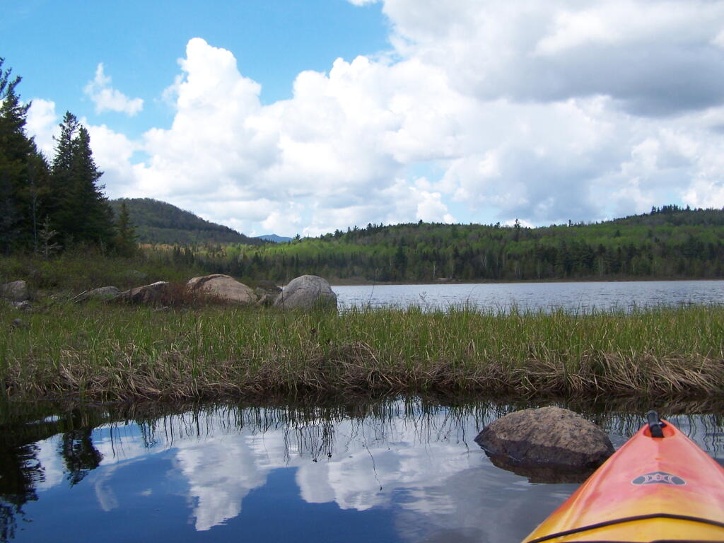 Photo: Exploring Marshy End of Cheney Pond
