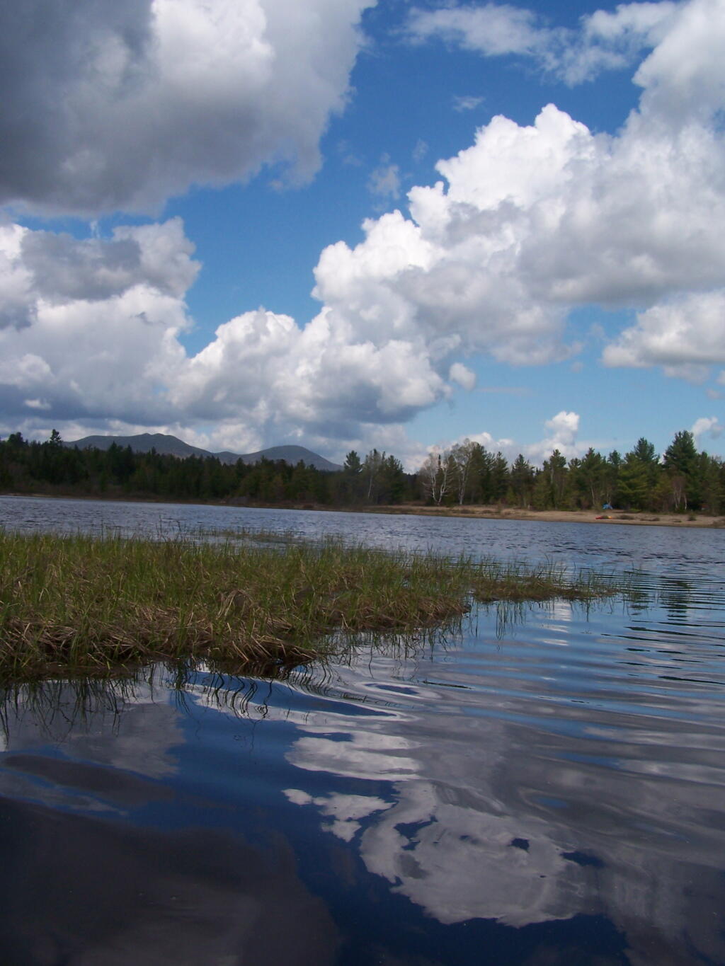 Photo: Looking Up at the Clouds
