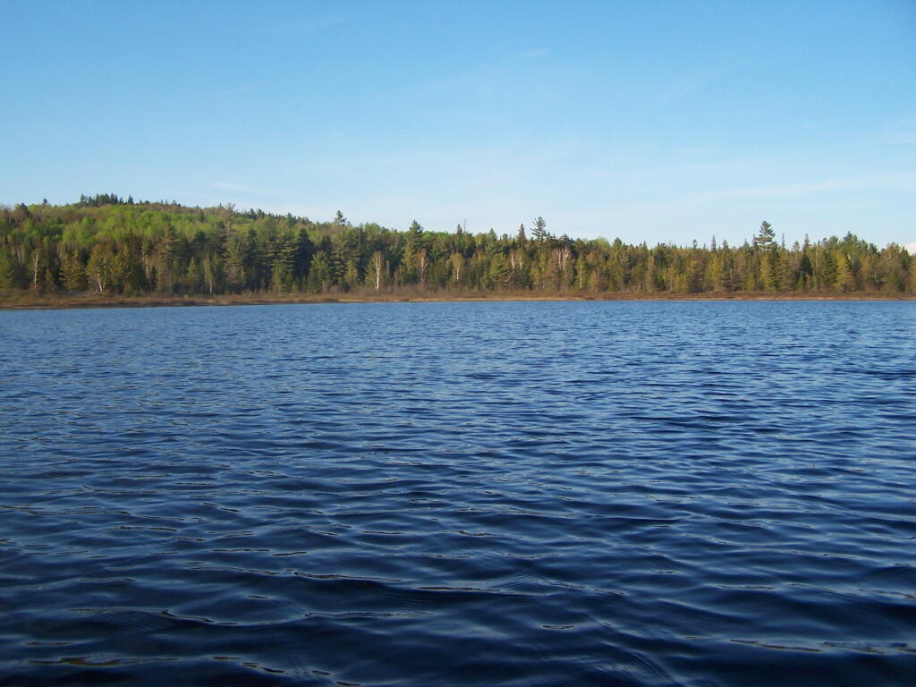 Photo: Flat Edge of Lester Flow