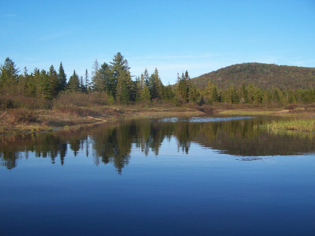 Photo: East on Cheney Pond