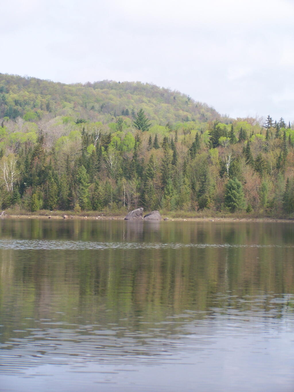 Photo: Boulders Along the Edge of Cheney Pond