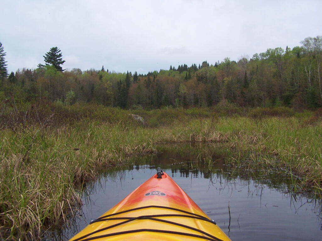 Photo: Exploring Channel Off Cheney Pond