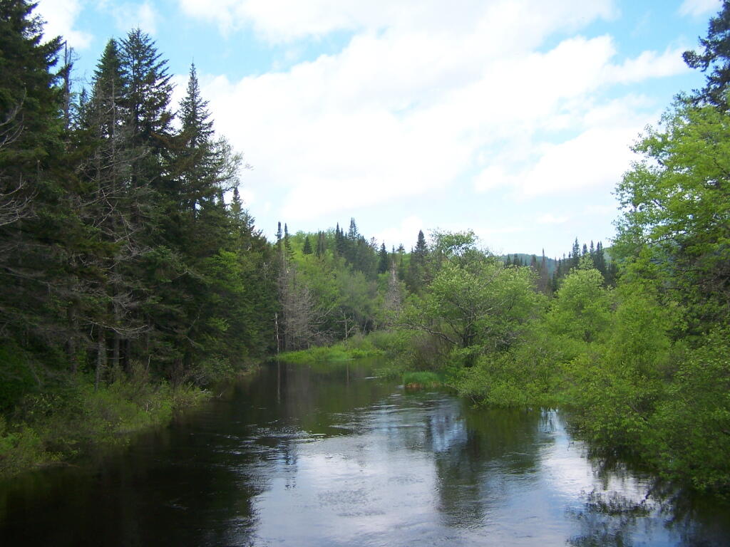 Photo: North from Powley Place Bridge Photo: North from Powley Place Bridge