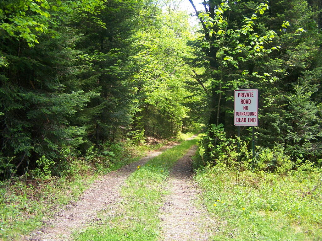 Photo: Ferris Lake Road Photo: Ferris Lake Road