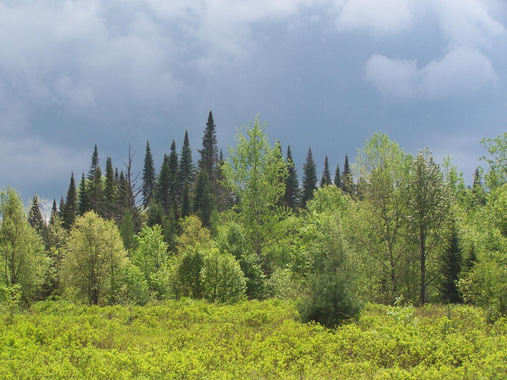 Photo: Across Powley Place